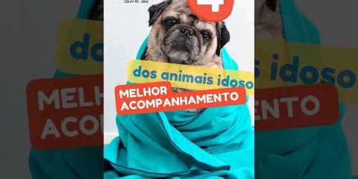 Insuficiencia renal en perros: ¿cuáles son los síntomas y cómo tratarla?