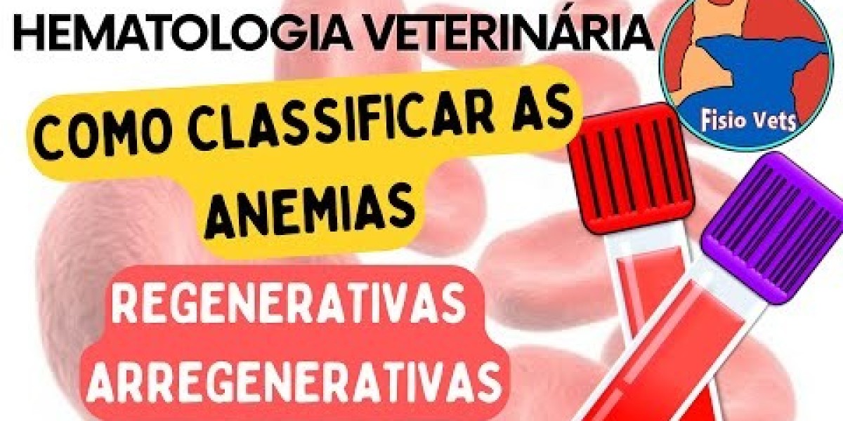 Insuficiencia cardíaca en perros Síntomas y tratamiento