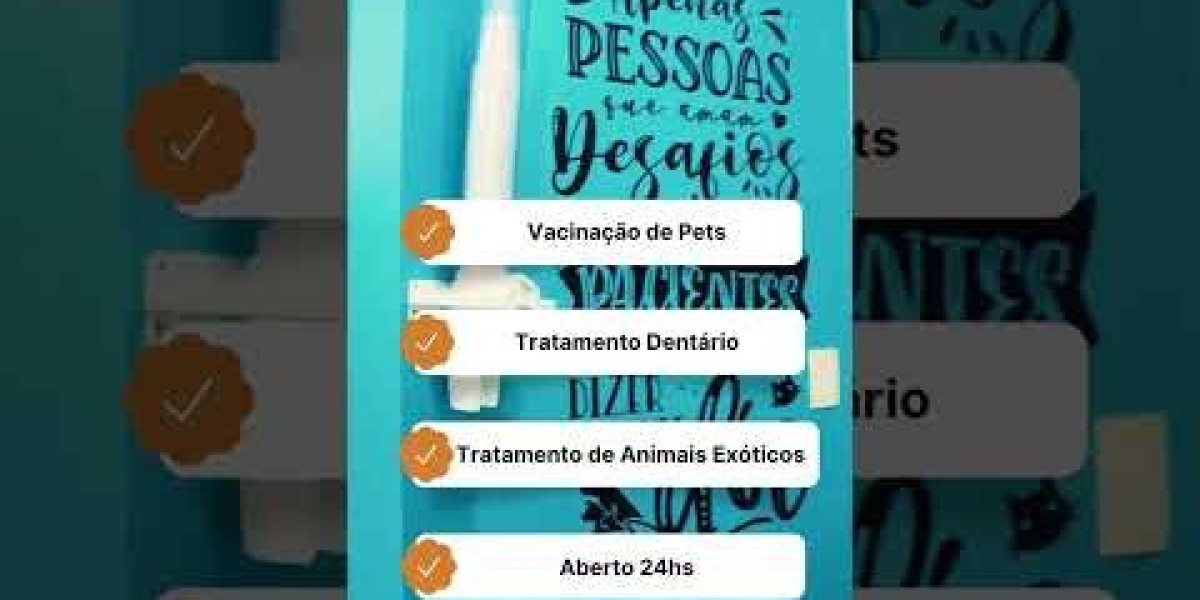 Radiografía al gato: cómo hacerlo, cuándo y para qué problemas