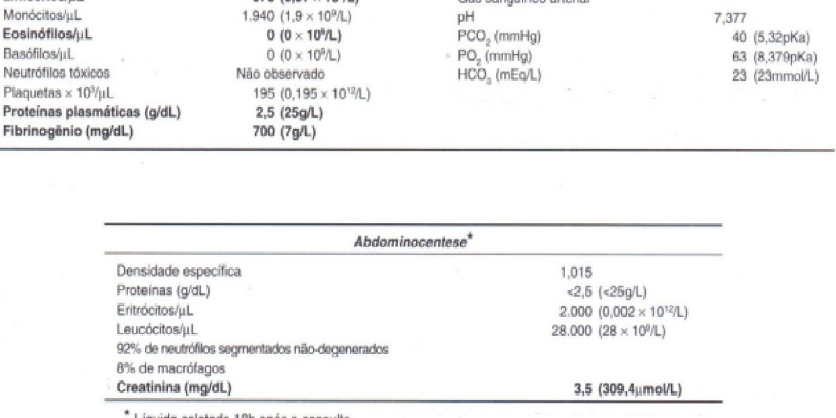 Cuanto Cuesta una Radiografía para tu Perro: Guía de Precios y Consejos en Cuantocuesta info