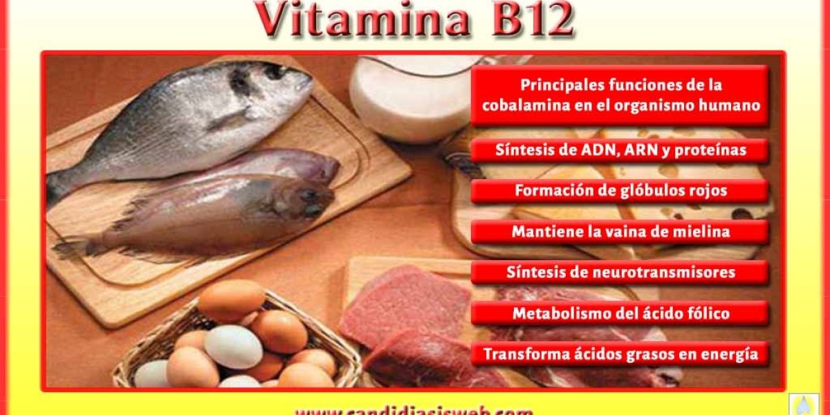 Las mejores vitaminas para adelgazar y acelerar el metabolismo