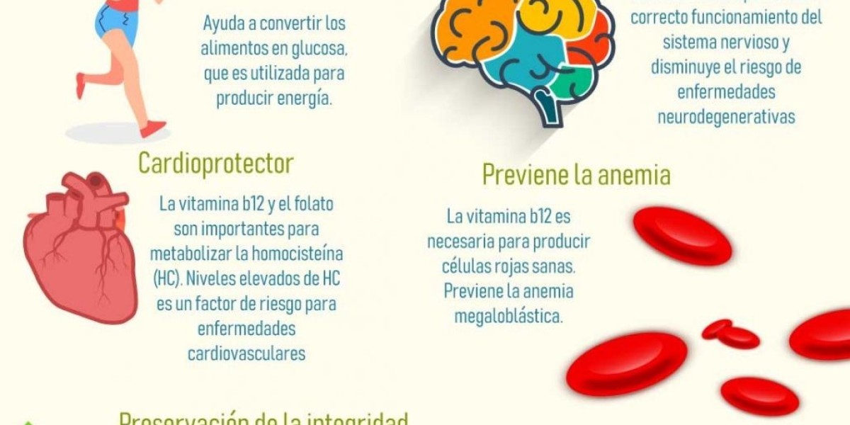 Los 7 principales beneficios para la salud del romero Romero: potencia aromática de la salud